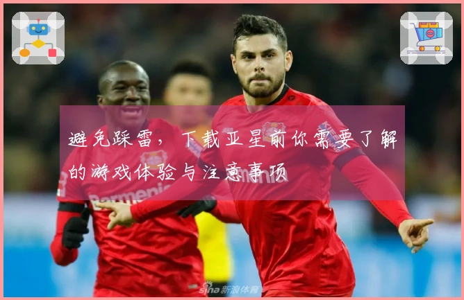 避免踩雷，下载亚星前你需要了解的游戏体验与注意事项