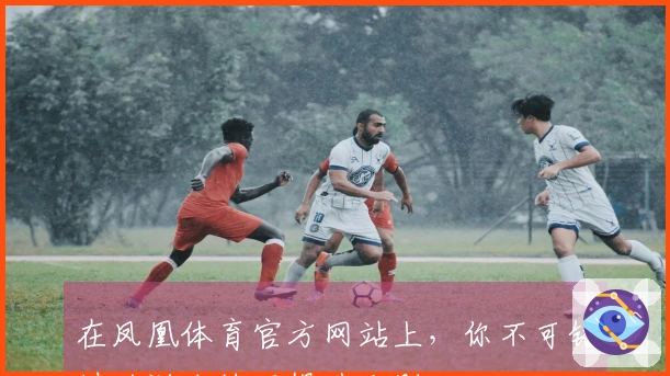 在凤凰体育官方网站上，你不可错过的游戏技巧提升法则